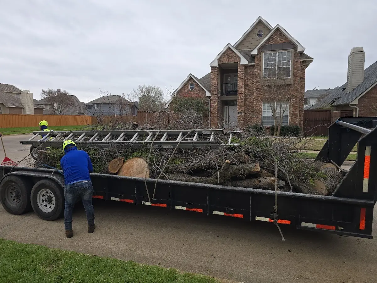 Expert Tree Fertilization with proper safety equipment in Takotna